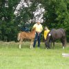 Ponyfestival 2008 036